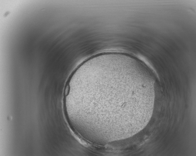 X0000066941237200604142015