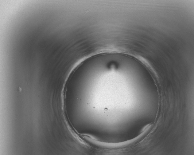 X0000066941238200604142015