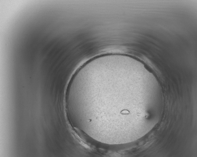 X0000066941240200604142015