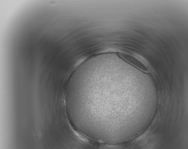 X0000066941241200604142015