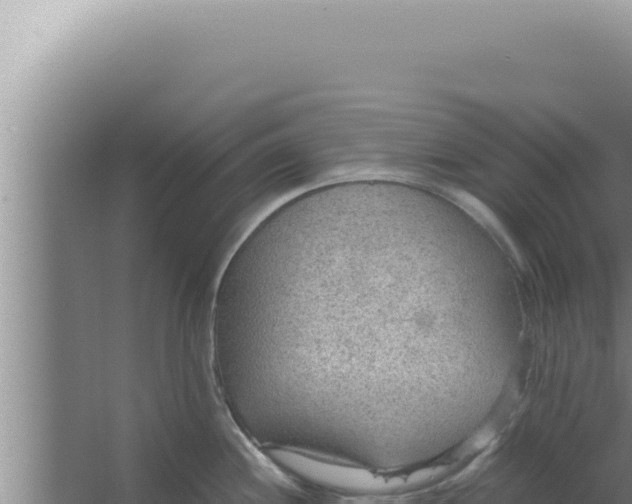 X0000066941244200604142015