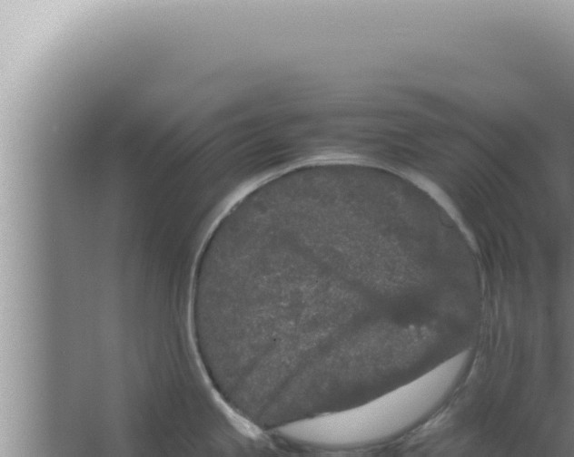 X0000066941245200604142015