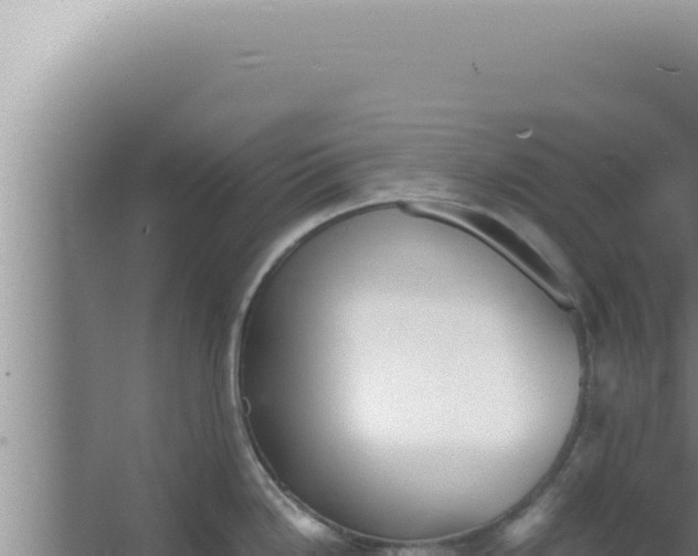 X0000066941246200604142015