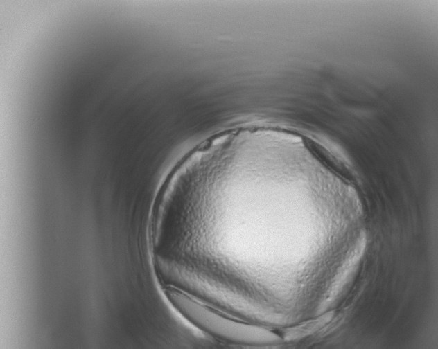 X0000066941247200604142015