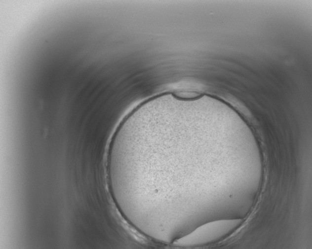 X0000066941248200604142015