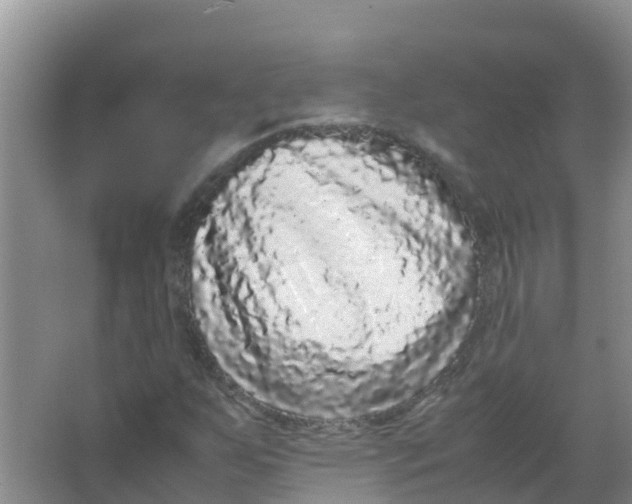 X0000066941255200604142014