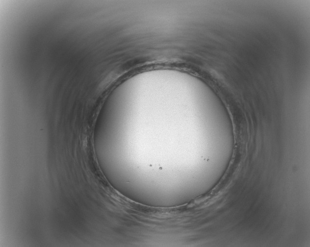 X0000066941257200604142014