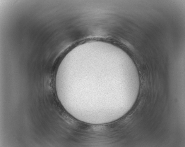 X0000066941258200604142014