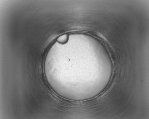 X0000066941259200604142014