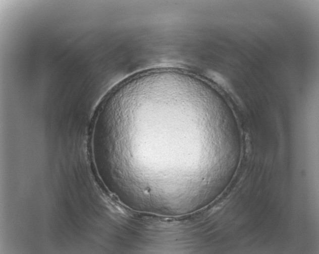 X0000066941260200604142014