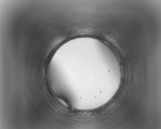 X0000066941261200604142014