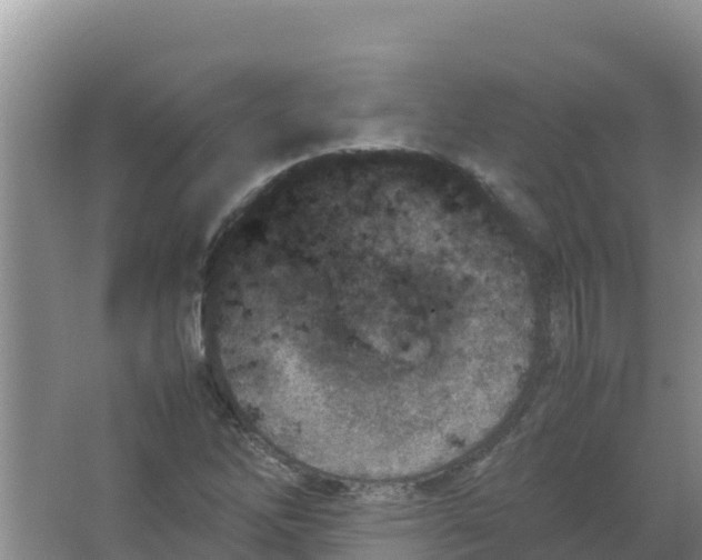 X0000066941262200604142014