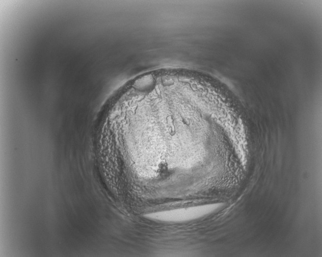 X0000066941263200604142014