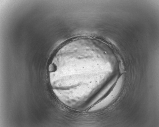 X0000066941267200604142014