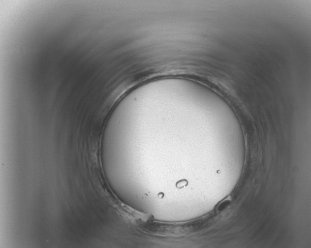 X0000066941273200604142014