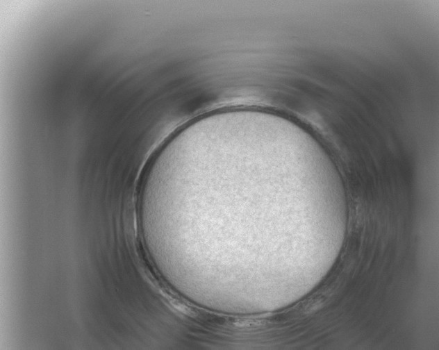 X0000066941274200604142014