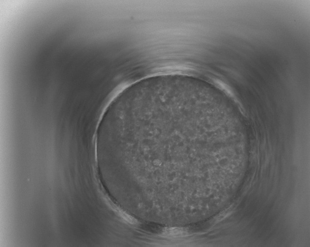 X0000066941275200604142014