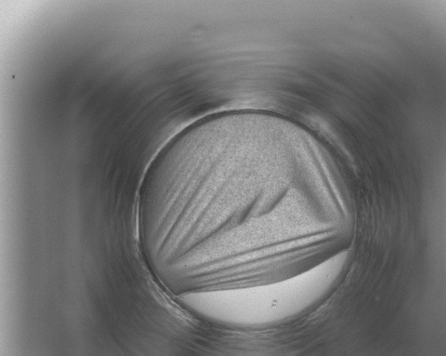 X0000066941276200604142014