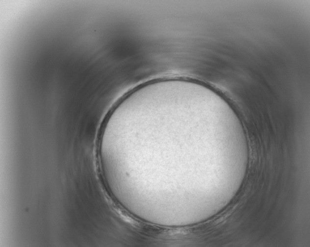 X0000066941278200604142014