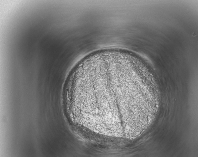 X0000066941279200604142014