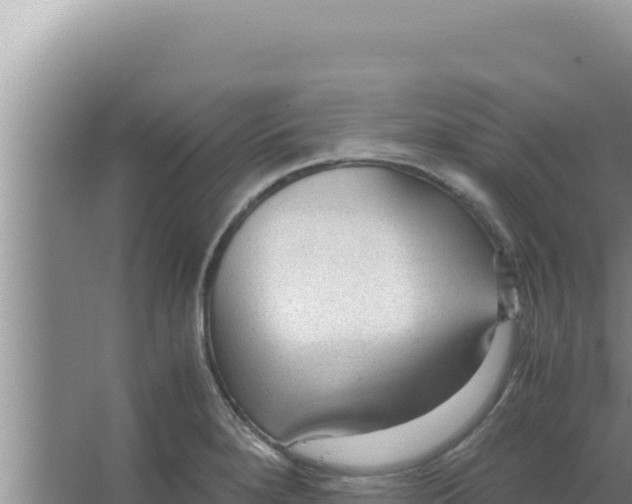 X0000066941280200604142014