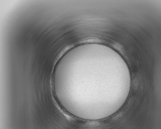 X0000066941282200604142014