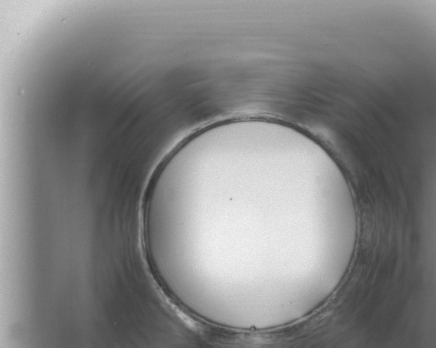 X0000066941286200604142014