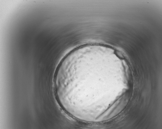 X0000066941287200604142014