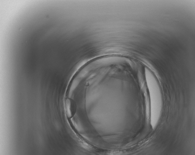 X0000066941291200604142014