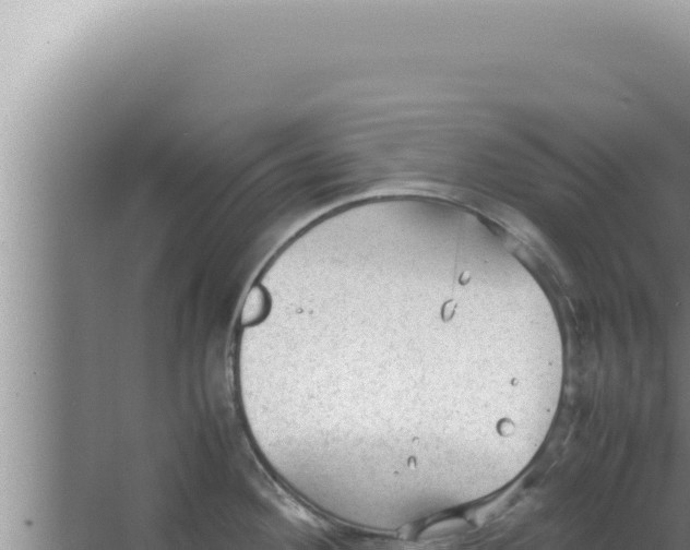 X0000066941292200604142014