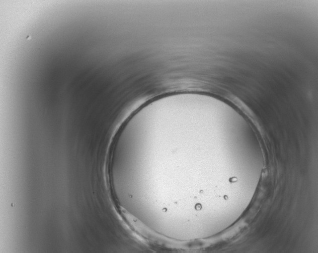 X0000066941293200604142014