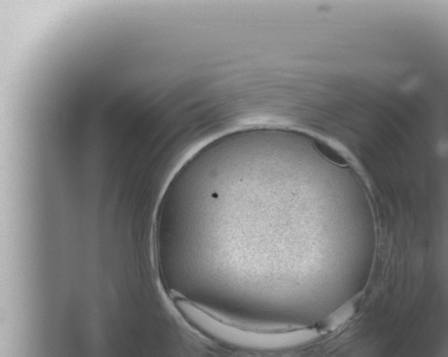 X0000066941295200604142014