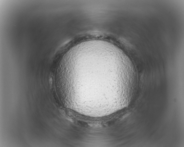 X0000066941302200604142013