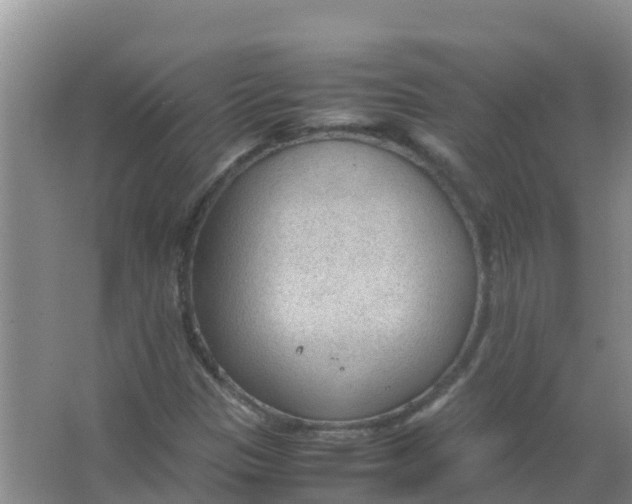 X0000066941305200604142013