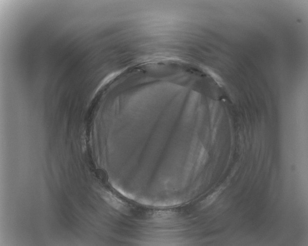 X0000066941306200604142013