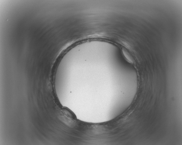 X0000066941308200604142013