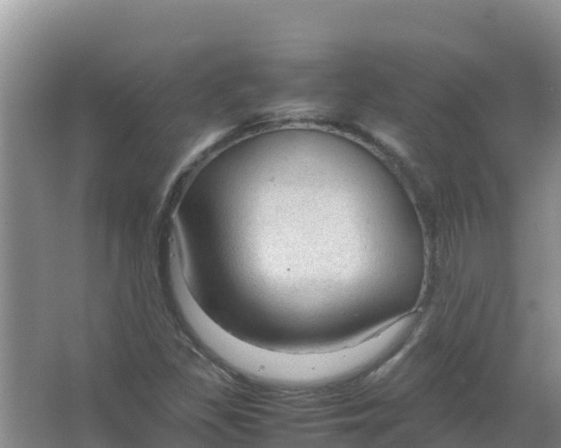 X0000066941309200604142013