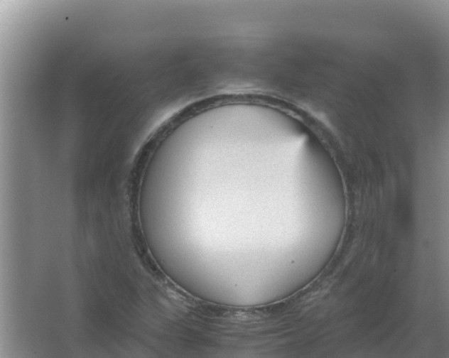 X0000066941311200604142013