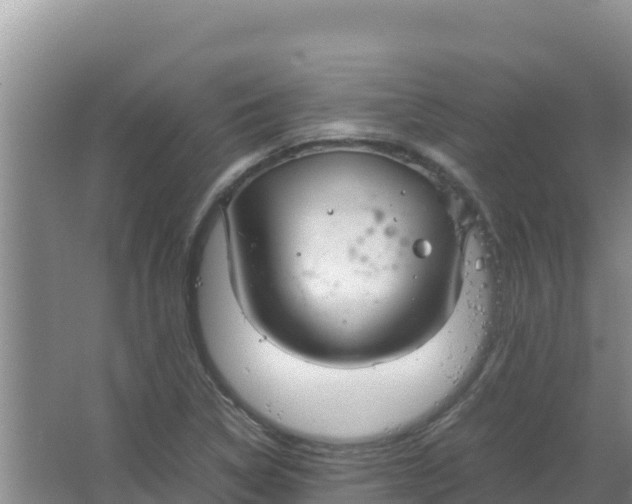 X0000066941314200604142013