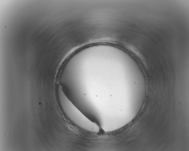 X0000066941316200604142013