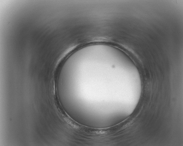 X0000066941317200604142013