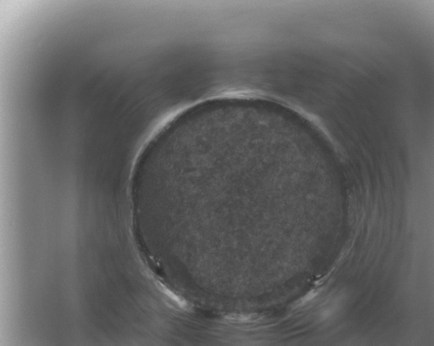 X0000066941319200604142013