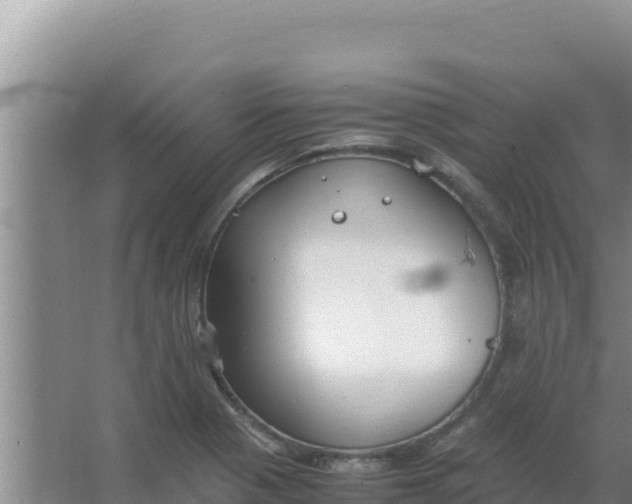 X0000066941321200604142013