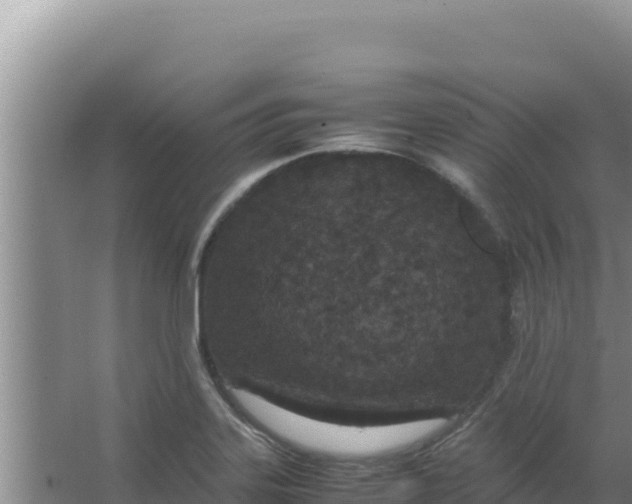 X0000066941323200604142013