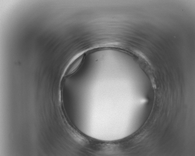 X0000066941324200604142013