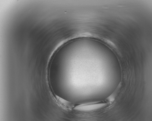 X0000066941326200604142013