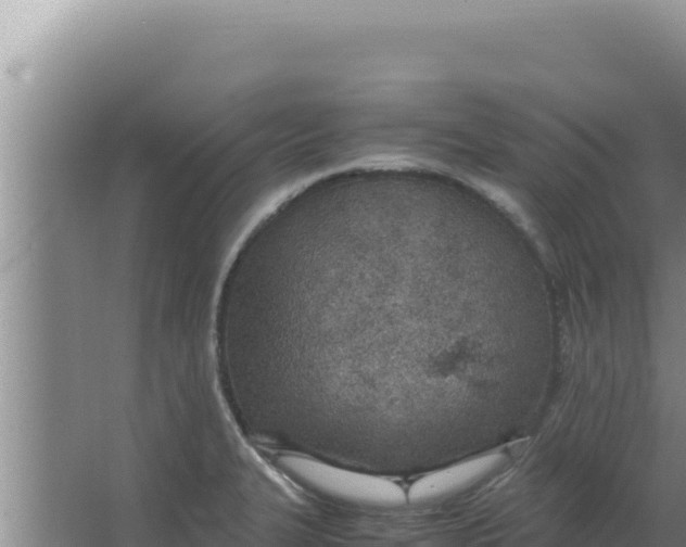 X0000066941327200604142013