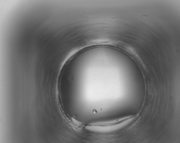 X0000066941328200604142013