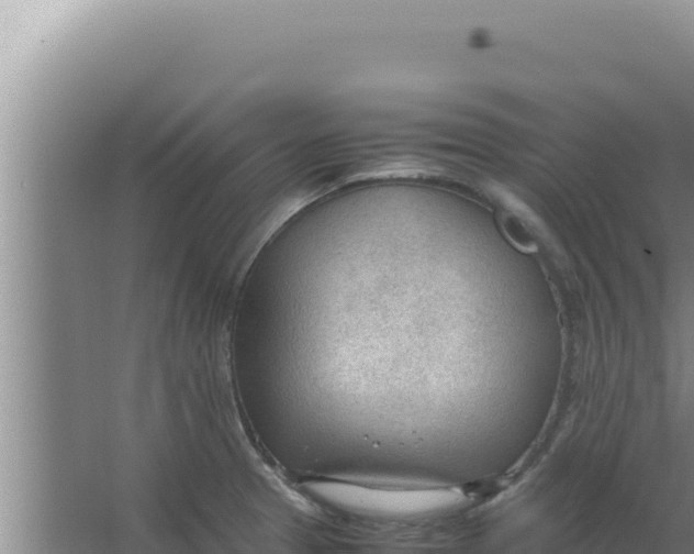 X0000066941329200604142013