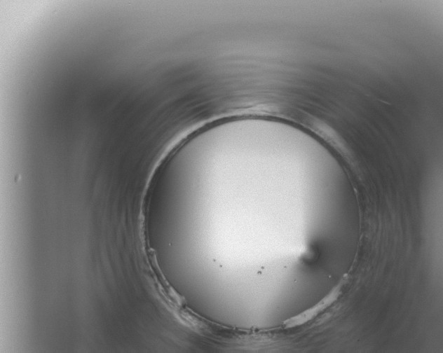 X0000066941332200604142014